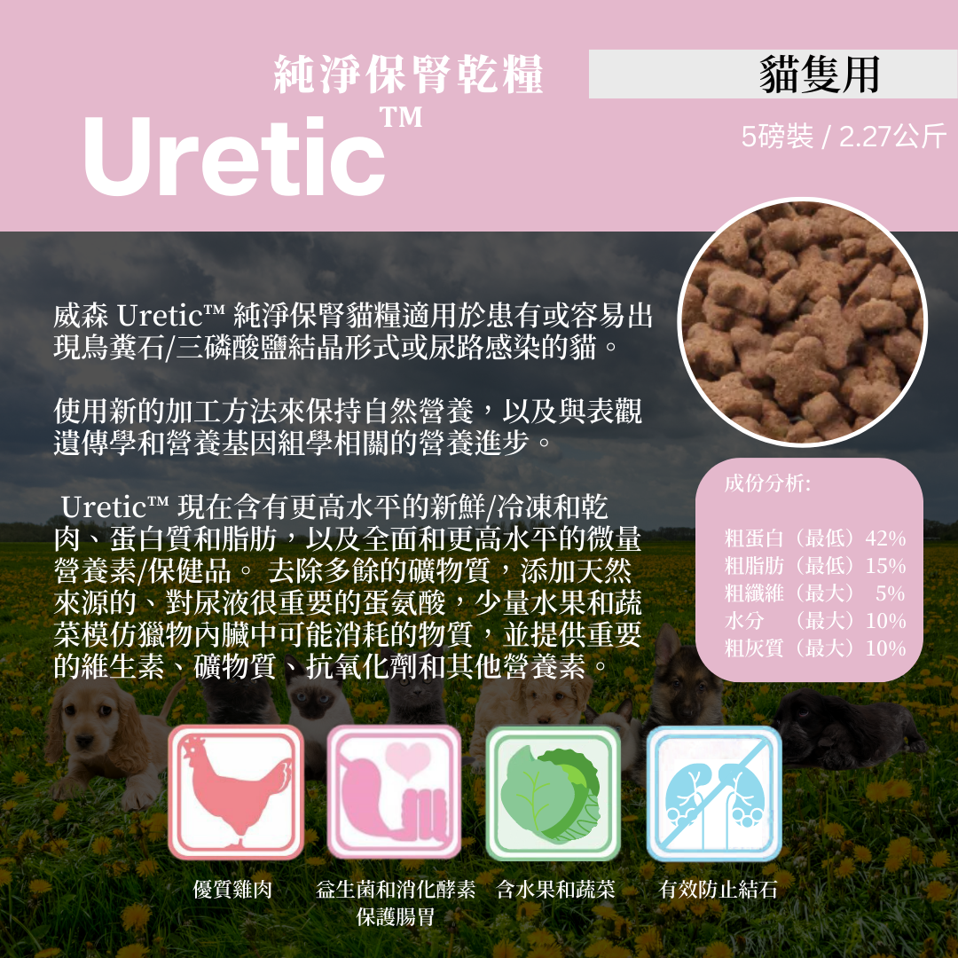 WYSONG 原始飲食系列 URETIC™ 純淨保腎貓糧 5LB 898Buy寵物用品專門店 Hei E Trading
